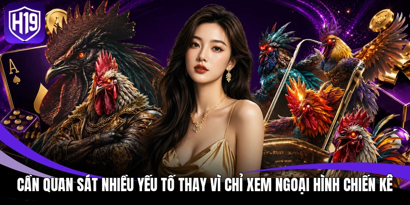 Cần quan sát nhiều yếu tố thay vì chỉ xem ngoại hình chiến kê